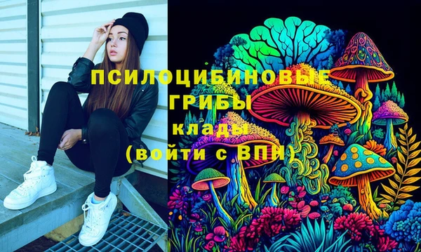 ешки Армянск