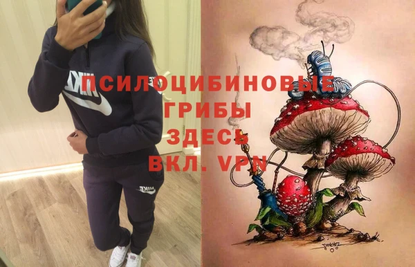 ешки Армянск
