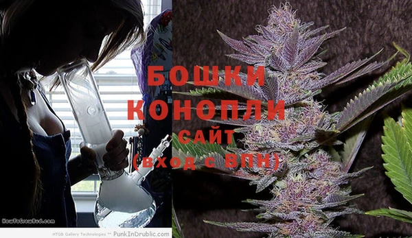 гидра Аркадак