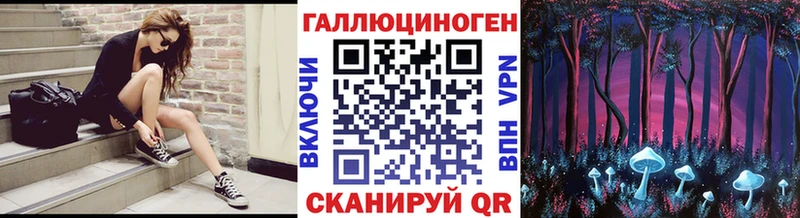 Псилоцибиновые грибы Psilocybine cubensis  Междуреченск 